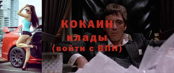 сатива Баксан