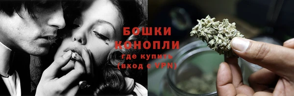 сатива Баксан