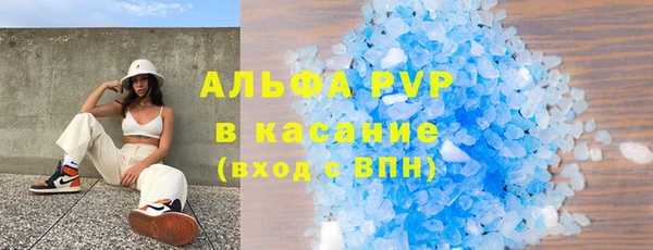 сатива Баксан
