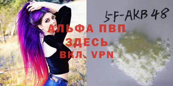 сатива Баксан