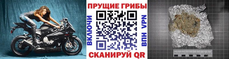 Галлюциногенные грибы Cubensis  купить наркотики сайты  Стародуб 